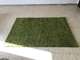 שטיח ירוק