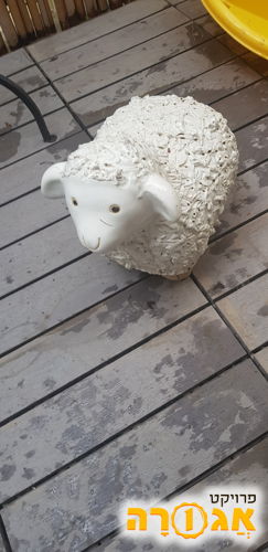 כבשה שושנה לגינה