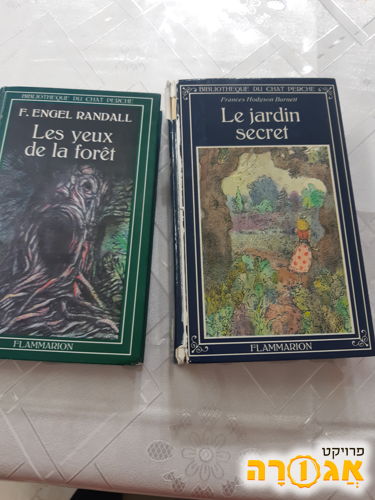 ספרים בצרפתית