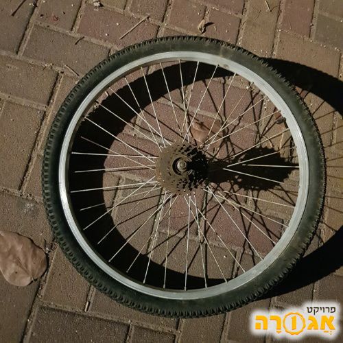 גלגל אופניים אחורי מידה 24