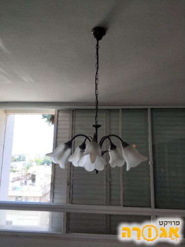 מנורה תלויה מהתקרה