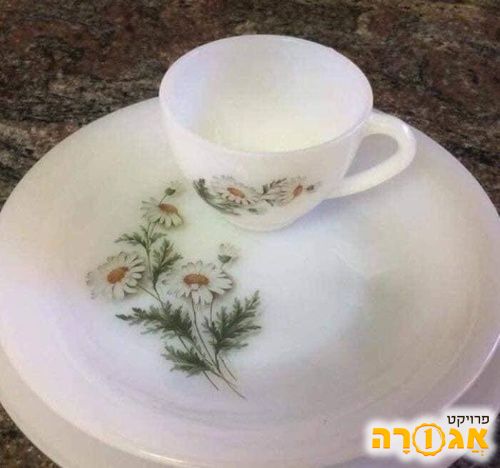 סט צלחות וכוסות וינטג'