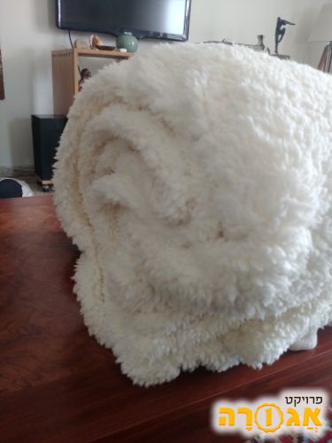 כירבולית