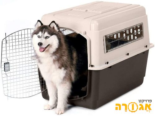 כלוב הטסה לכלב בינוני-גדול