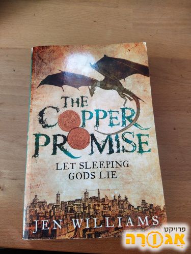 The Copper Promise - Jen Williamss