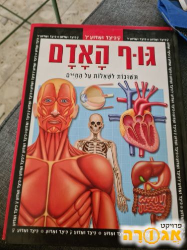 ספר גוף האדם לילדים