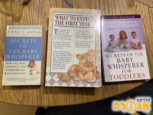ספרים באנגלית להנחיית הורים