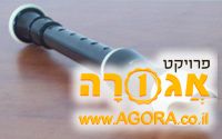 חלילית