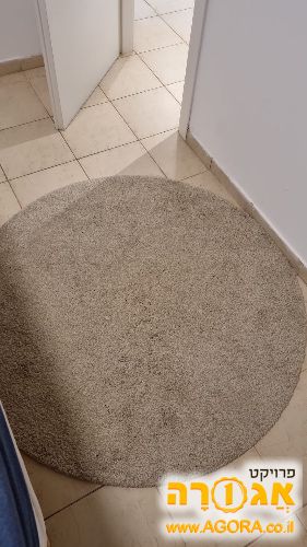 2 שטיחים