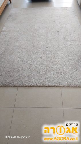 שטיח לסלון