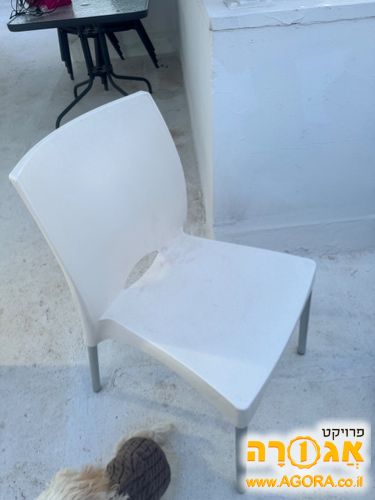 כיסא לבן