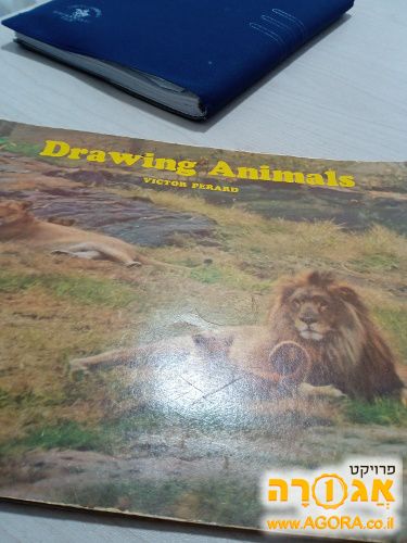 חוברת ללימוד ציור חיות