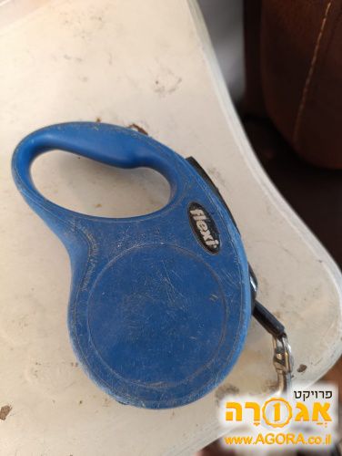 רצועת כלב