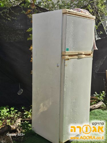 מקרר תקין מידה בינונית