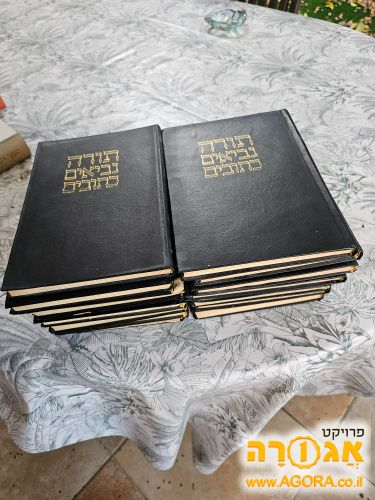 תנ"ך קסוטו