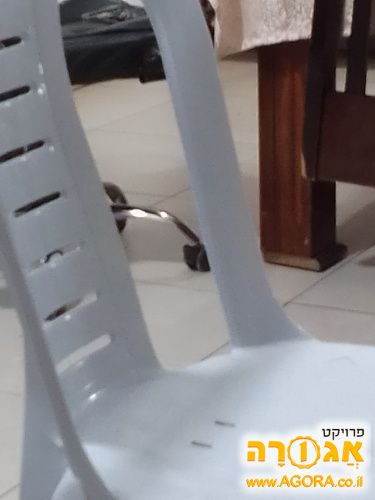 כיסא כתר