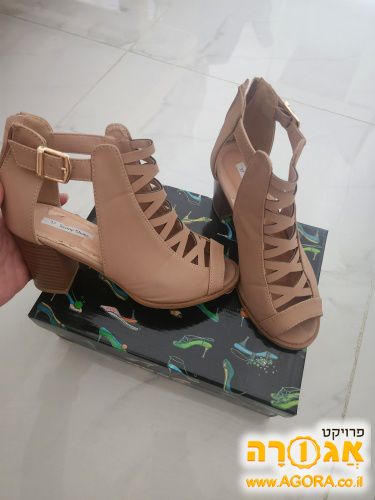 סנדלי עקב