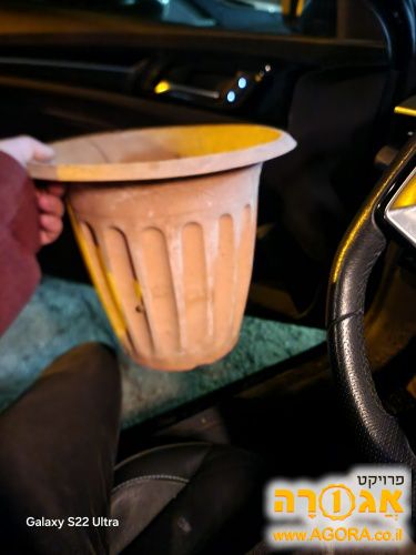 אדנית