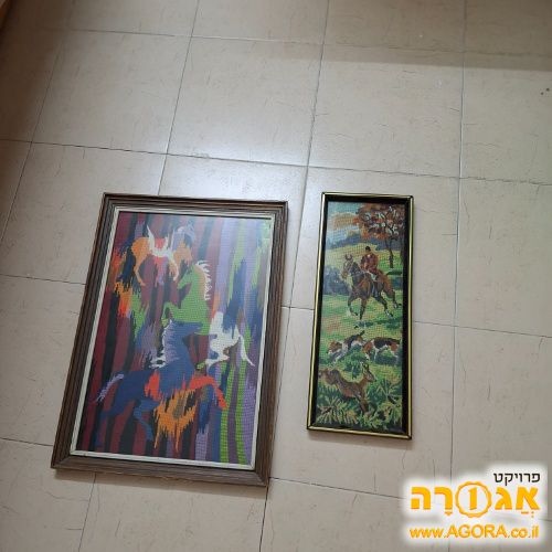 תמונות של סוסים
