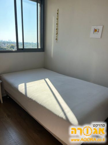 מיטה וחצי