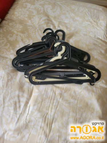 קולבים