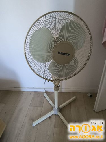 מאורר עומד