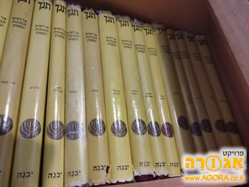 אנציקלופדיה מכלל וכל הסדרה של קסוטו