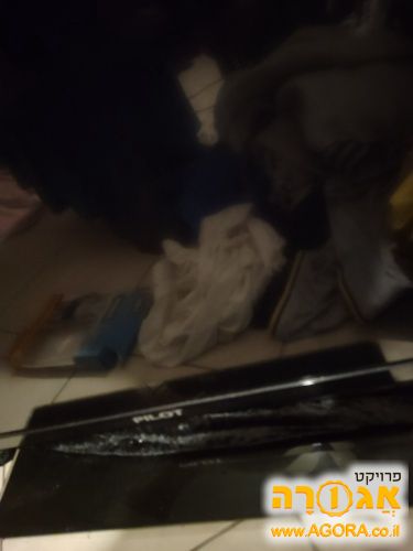 טלוויזיה