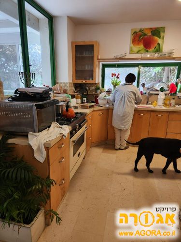 מטבח מעץ מייפל