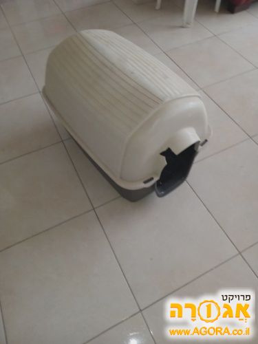 מלונה