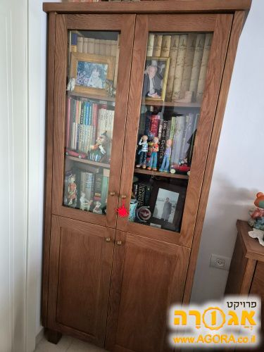 ארונית