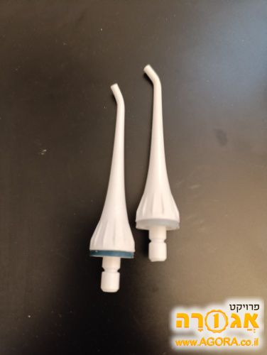ראשים לסילונית