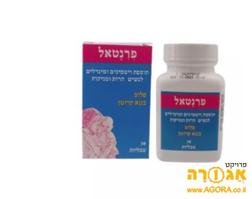 פרנטל