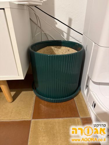 עציץ