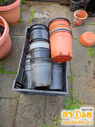 עציצים ריקים