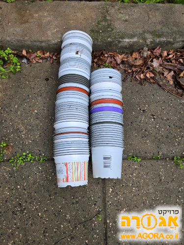 עציצים ריקים לשימוש חוזר