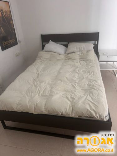 מיטה