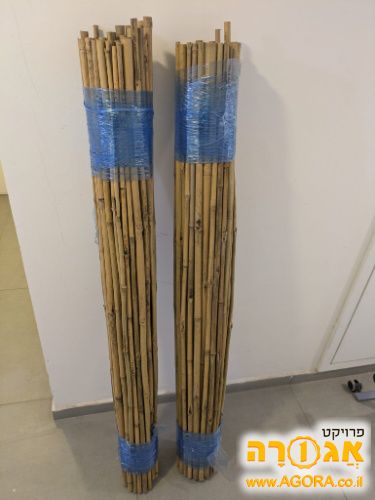 מקלות במבוק