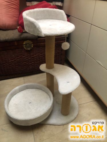 לונה פארק לחתול