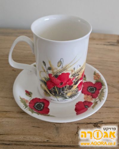 כוס ותחתית