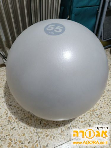 כדור פיזיו
