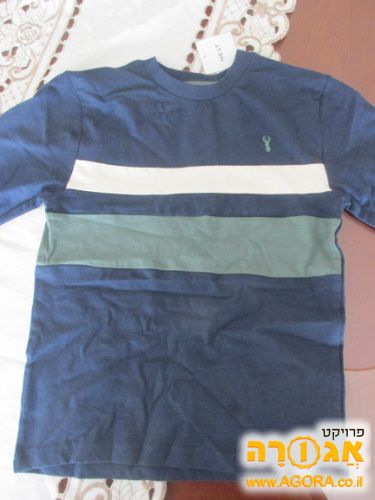 חולצה