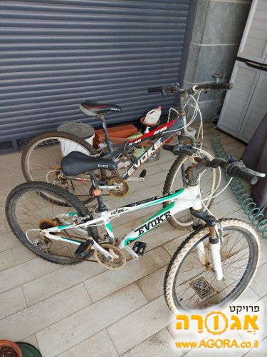 אופניים