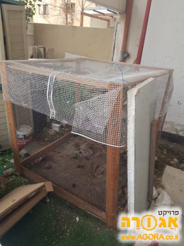 כלוב