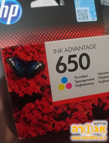 ראש דיו