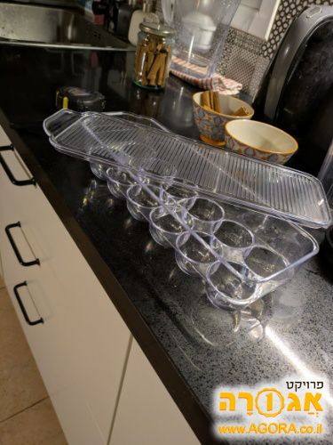 תבנית לאחסון ביצים