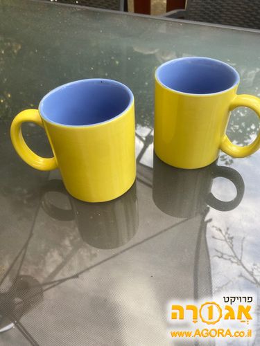 זוג ספלים