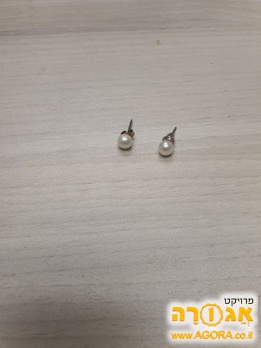 עגילים דמוי פנינה