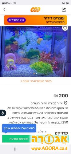 אקווריום כחדש