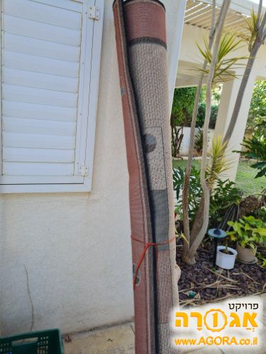 שטיח